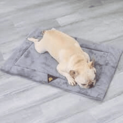 Tapis pour chien doux