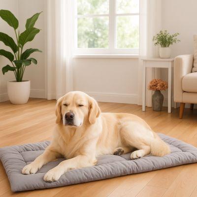 tapis pour chien labrador qui se repose 