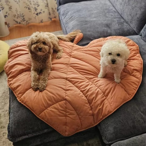 tapis pour chien moelleux 