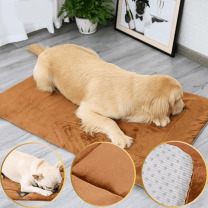 Tapis pour chien anti-dérapant