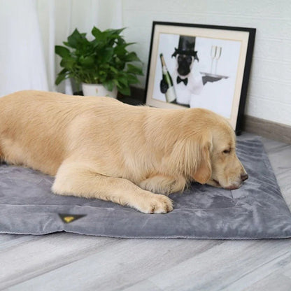Tapis pour chien moelleux
