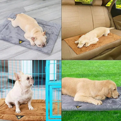 Tapis pour chien polyvalant