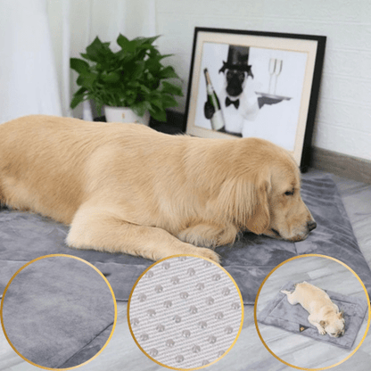 Tapis pour chien velours