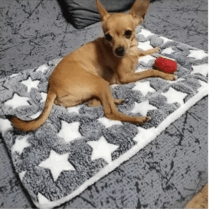 tapis pour chien protège canape