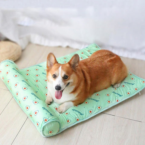 tapis rafraichissant chien vert 