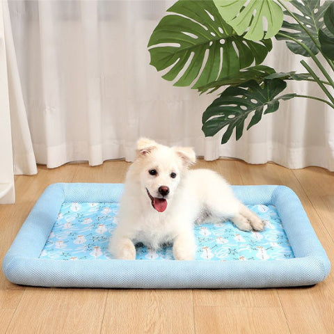 tapis rafraichissant pour chien moyenne taille 