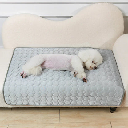 tapis rafraichissant chien gris 