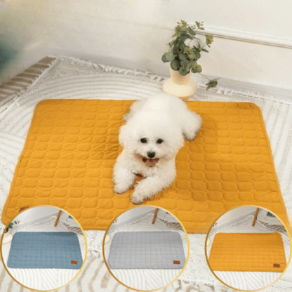 Tapis pour chien chien