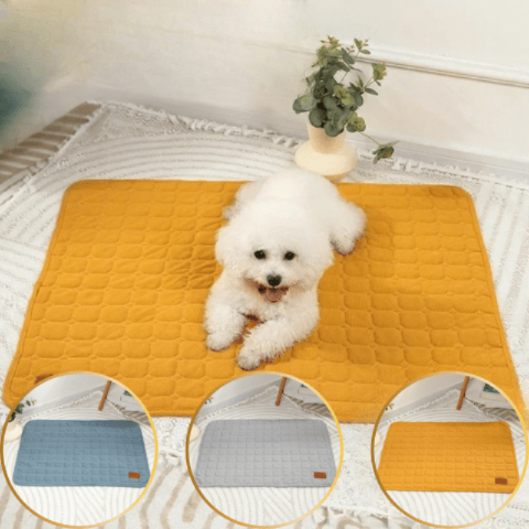 Tapis pour chien chien